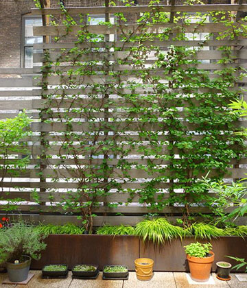 Urban Living Fence
