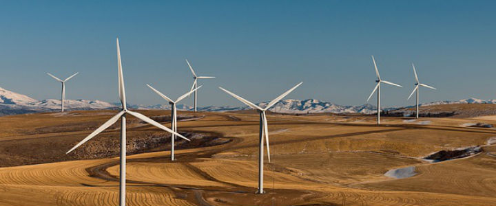 wind-farm-538576_640