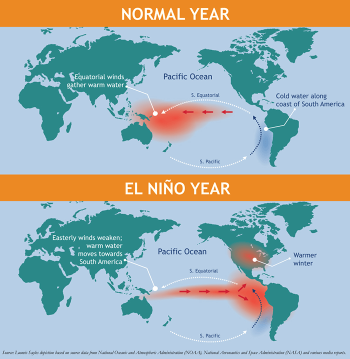 El Niño year (1)