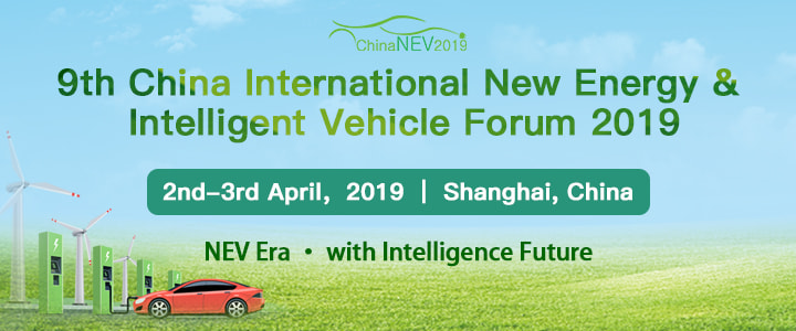 China NEV 2019