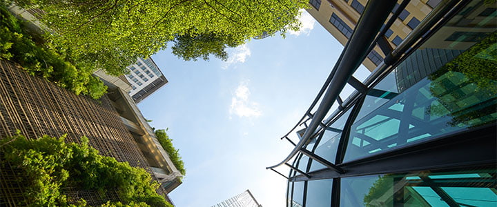 Green Businesses