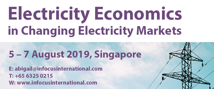 Electricity Economics in Changing Electricity Markets