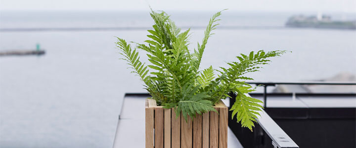 Green Living