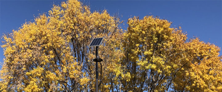 Solar Street Light