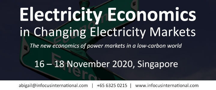 Electricity Economics in Changing Electricity Markets