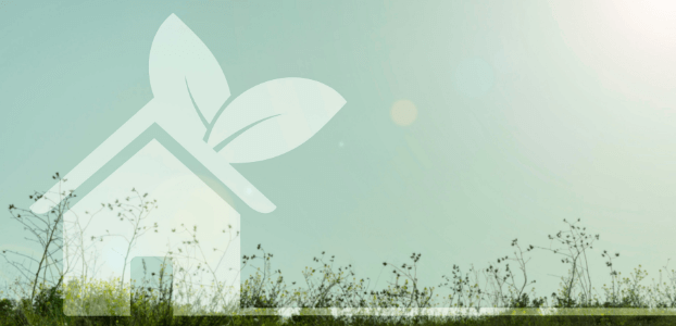Green Roof