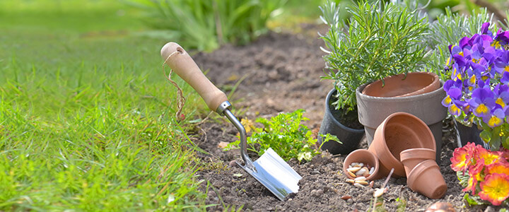 Environmentally-Conscious Gardening