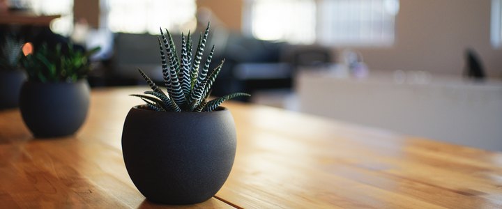 How to Brand Your Green Home Improvements Business