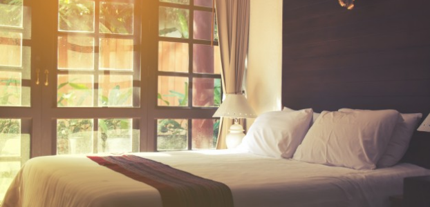 Organic Mattress