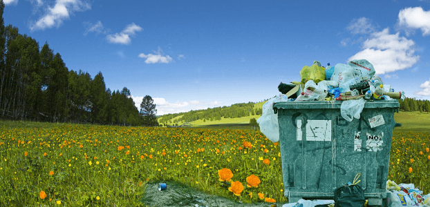 Waste Pollution
