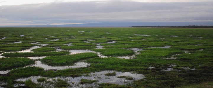 The future of climate crisis