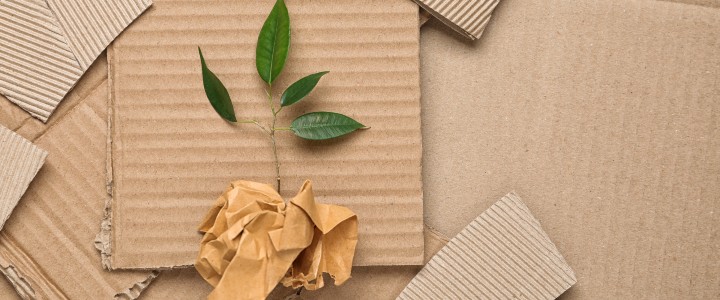 Sustainable packaging cardborad